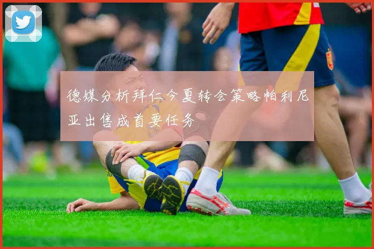 德媒分析拜仁今夏转会策略帕利尼亚出售成首要任务
